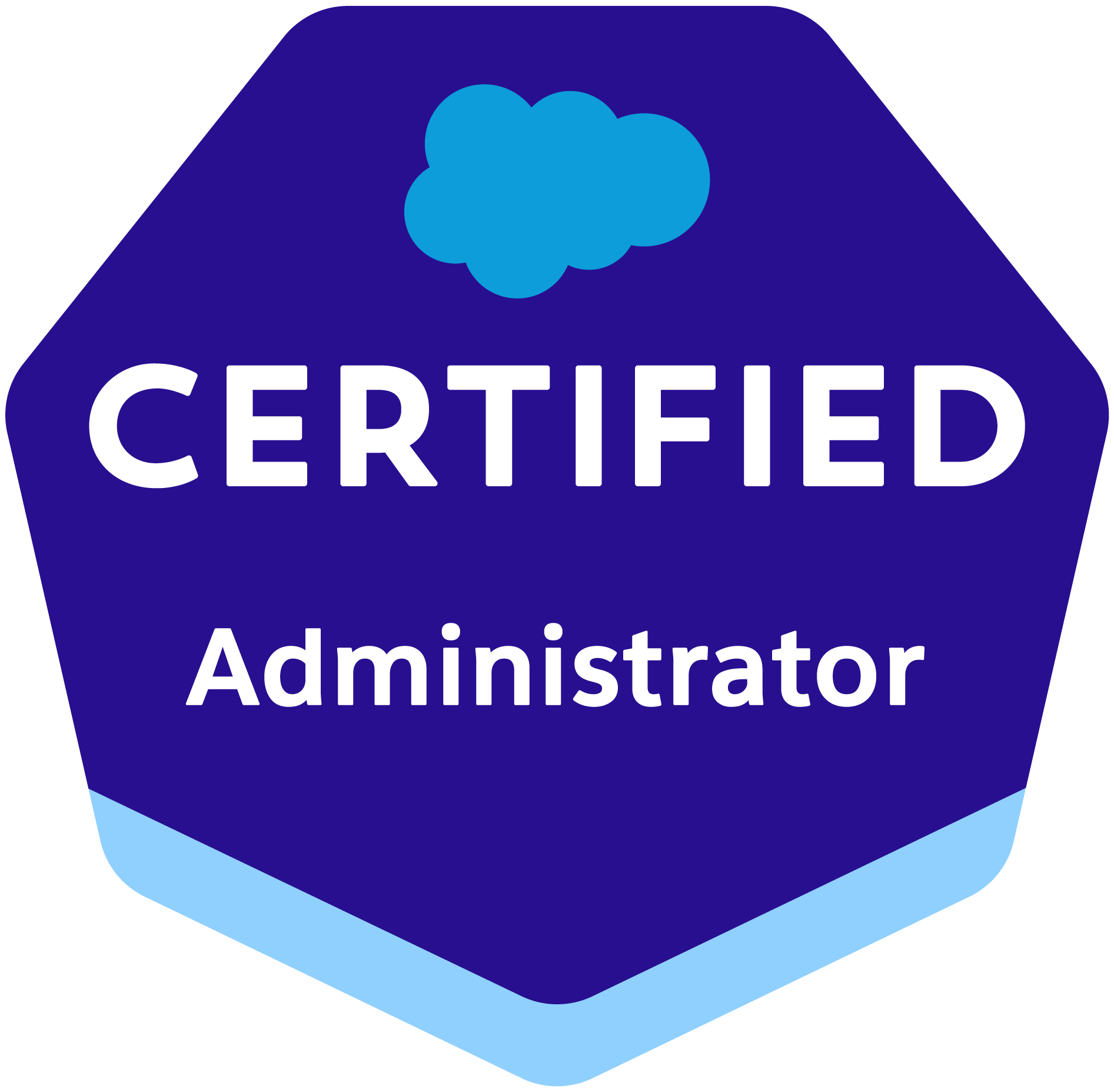 Salesforce Administrator (1)
