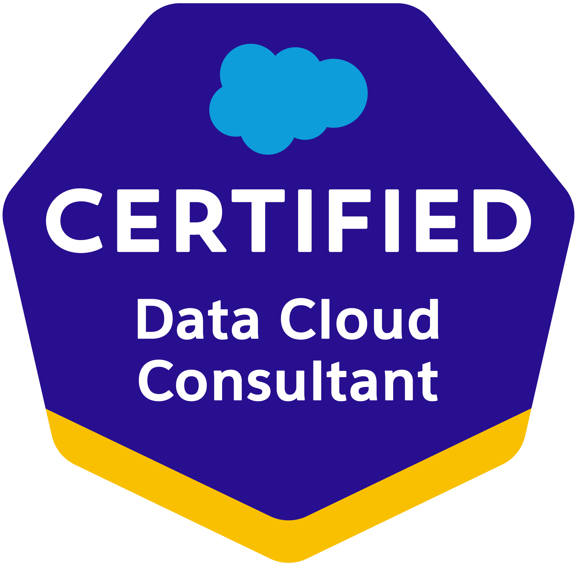 Salesforce Consultant (1)
