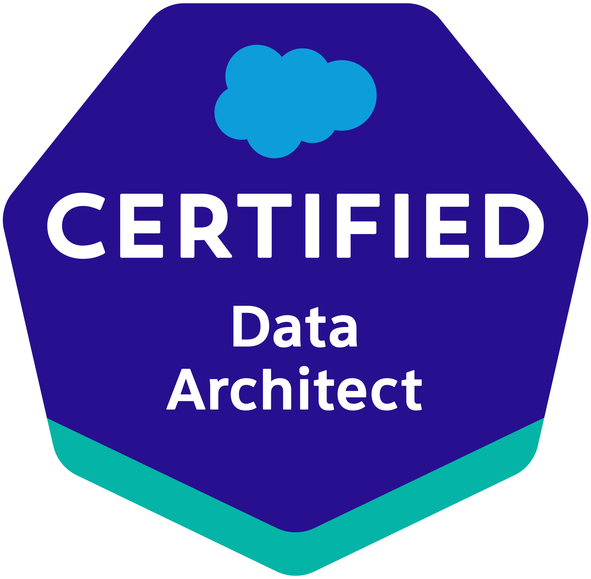 Salesforce Data Architect (1)